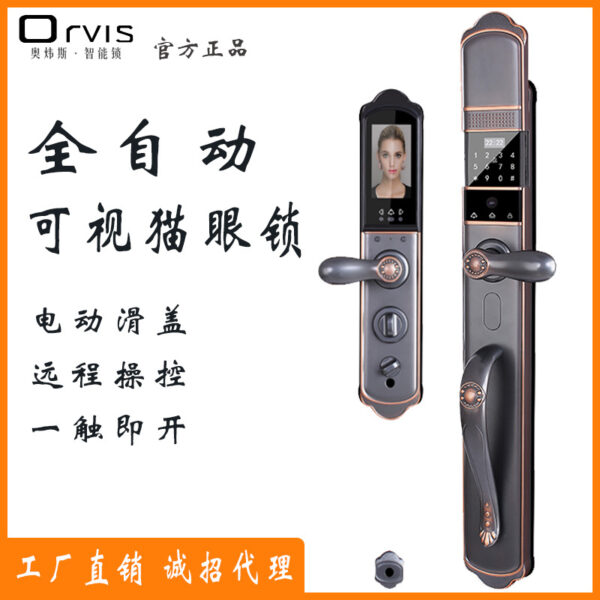 Mặt 3D Châu Âu Khóa Vân Tay Tự Động Biệt Thự Khóa Thông Minh Cửa Đồng Cửa Khóa Cửa Nhôm Đúc Nhà Máy Bán Hàng Trực Tiếp