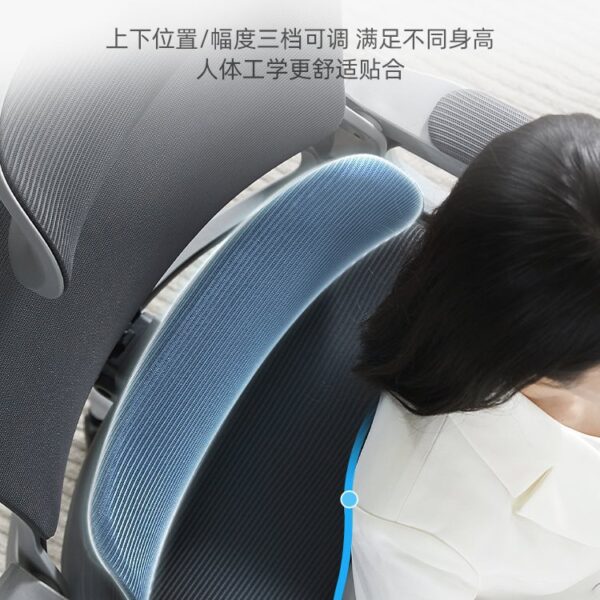 Ghế Ergonomic Bảo Vệ Eo Ghế Máy Tính Nhà Ít Vận Động Tựa Lưng Ký Túc Xá Học Tập Thể Thao Điện Tử Ghế Văn Phòng