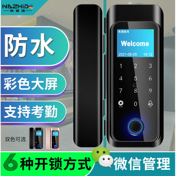 Cửa Kính Ngoài Trời Khóa Vân Tay Chống Thấm Nước Tự Do Mở Đôi Cửa Văn Phòng Kết Hợp Khóa Đóng Khung Cửa Khóa Thông Minh Chống Mưa