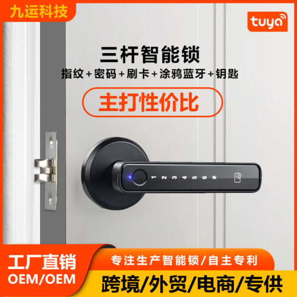 Khóa thông minh vân tay mật khẩu khóa hình cầu khóa ba cực khóa cửa gỗ khóa mật khẩu khóa thông minh khóa thẻ quẹt Tuya Tongtong