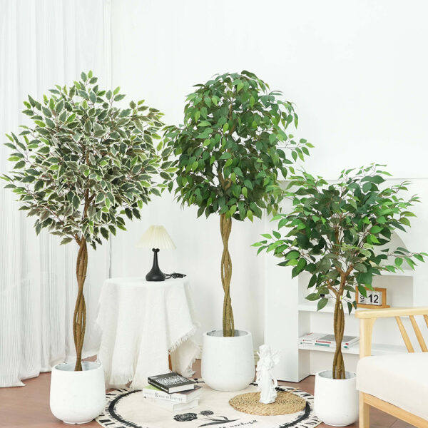 Cây mô phỏng lớn cây đa trồng trong chậu trang trí sàn trong nhà cây cảnh giả cây cảnh bán chạy nhất Amazon cây Ficus viền trắng bán chạy nhất