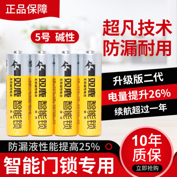 Số 5 Khóa Điện Tử Shuanglu Khóa Cửa Thông Minh Pin Vân Tay Mật Khẩu Khóa Thẻ Khách Sạn Vuốt Cảm Ứng Khóa Pin