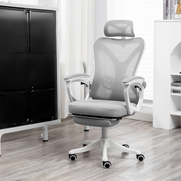 Ghế Xoay Văn Phòng Công Thái Học Cao Cấp D42348