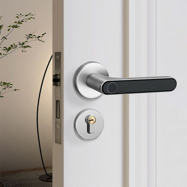 Khóa phân thể kết hợp vân tay trang trí cửa gỗ cao cấp chống trộm an toàn